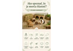 Ako spoznať, že je morča šťastné? 10 znakov spokojnosti | AZPET