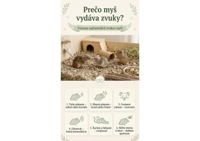 Prečo myš vydáva zvuky? Význam najčastejších zvukov myší | AZPET image