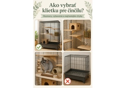 Ako vybrať klietku pre činčilu? Rozmery, vybavenie a najčastejšie chyby | AZPET image